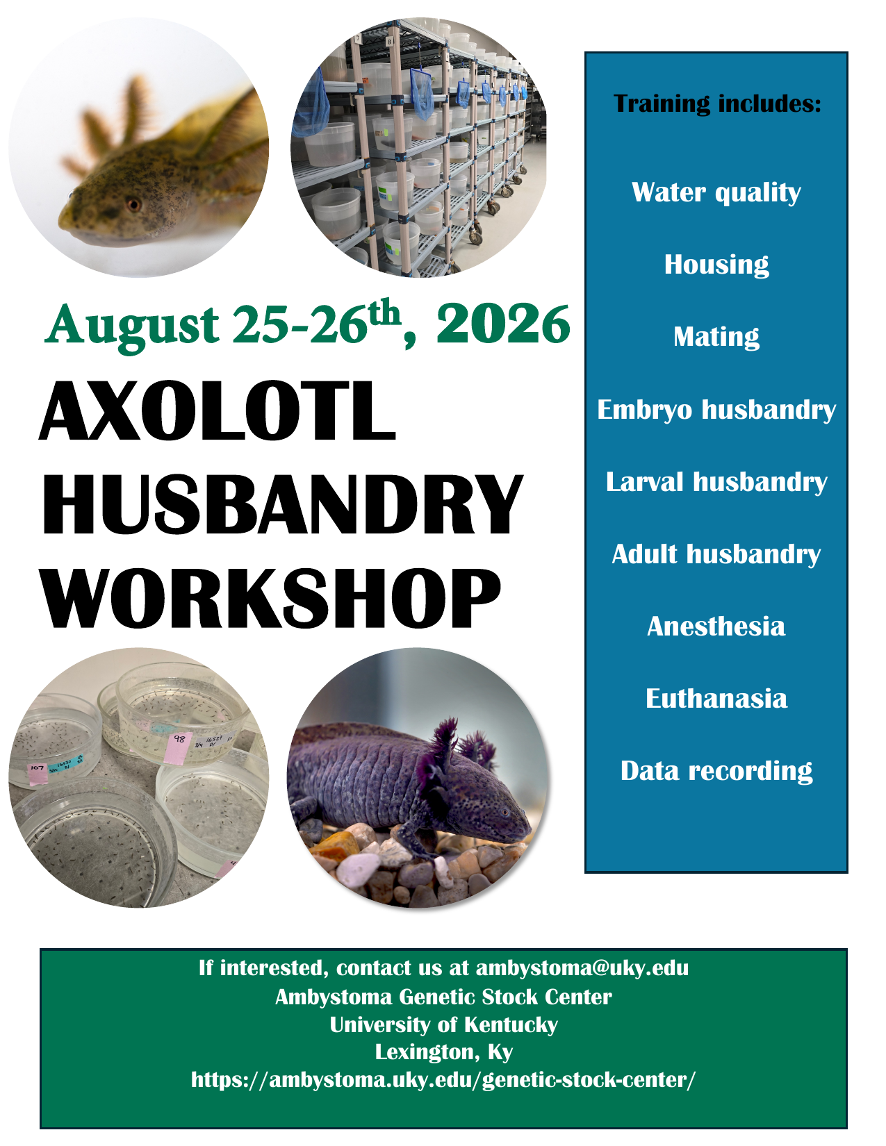 Axolotl Husbandry Workshop flyer, August 25 and 26, 2026